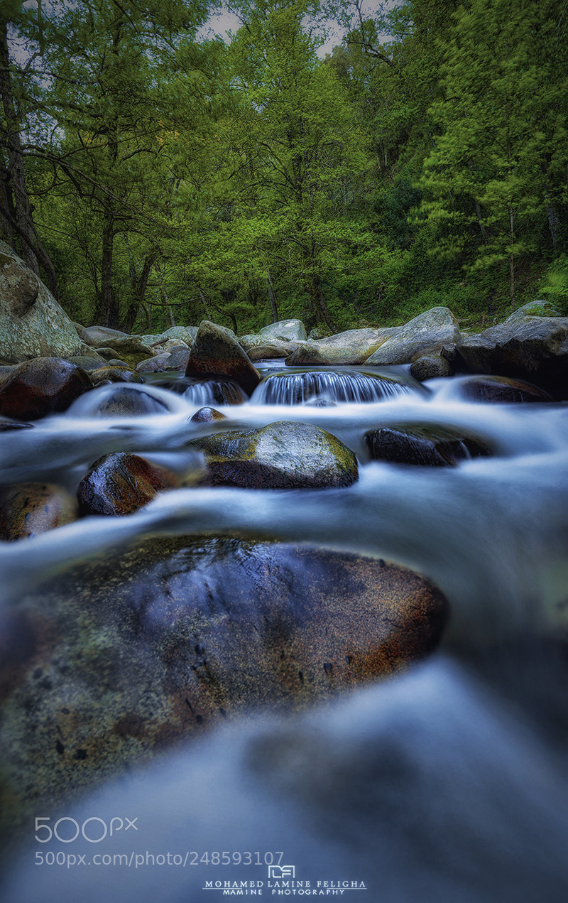 Nikon D610 sample photo. Valley 2 photography