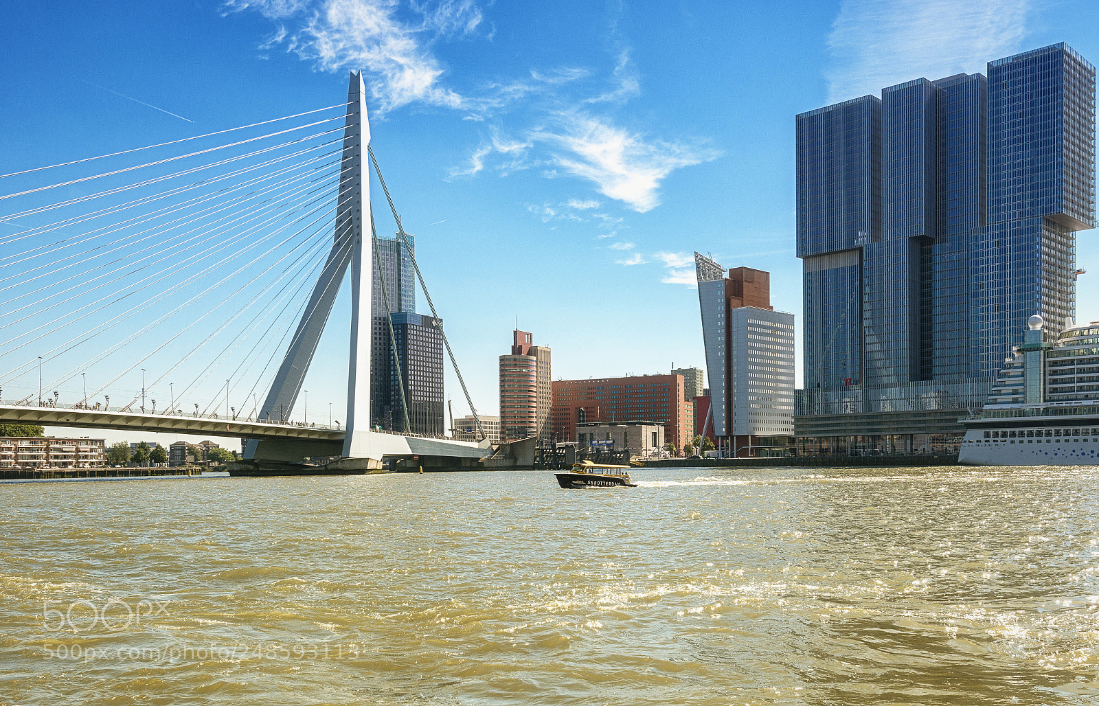 Nikon D7100 sample photo. Erasmus bridge... photography