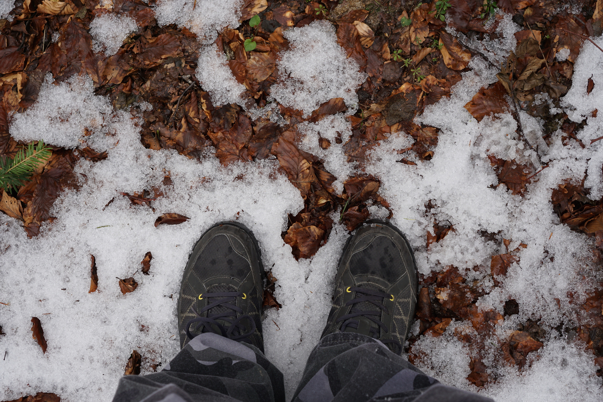 Sony a6000 + Sony E 35mm F1.8 OSS sample photo. Snow and leaves photography