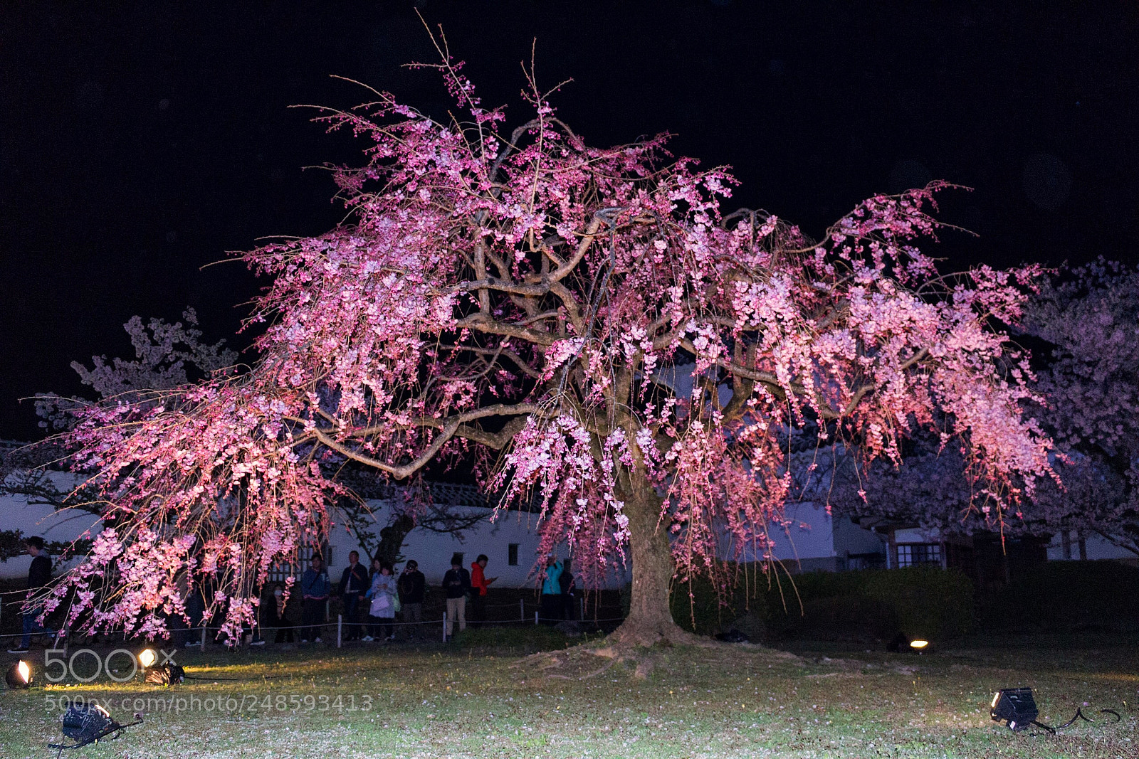 Canon EOS 100D (EOS Rebel SL1 / EOS Kiss X7) sample photo. Himeji castle / hyogo,japan photography