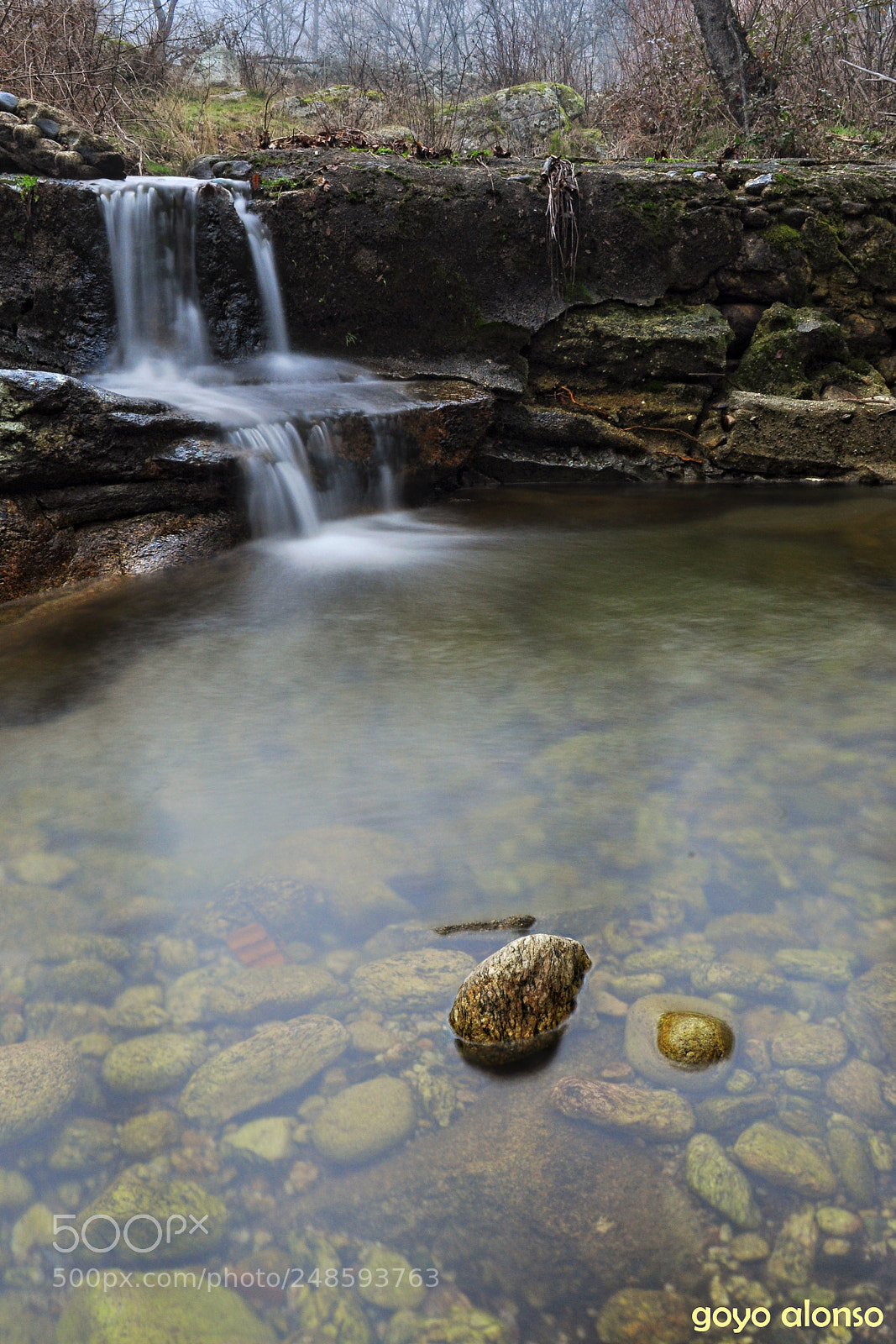 Nikon D5000 sample photo. Agua viva photography