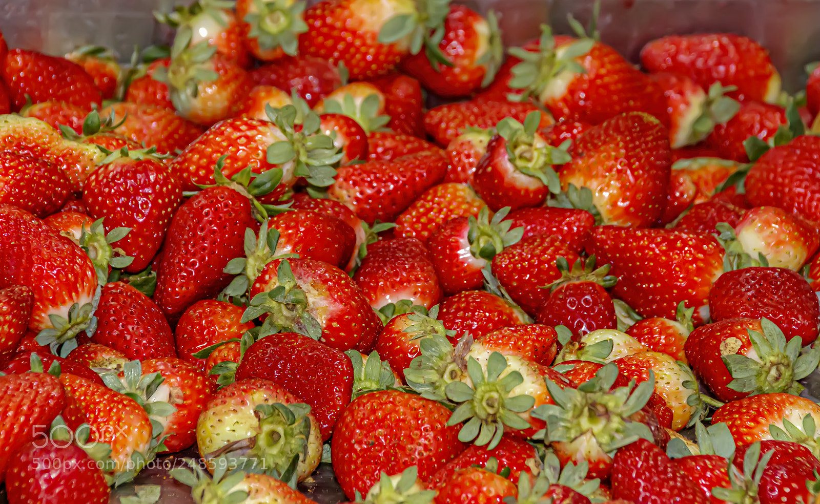 Canon EOS 80D sample photo. Ripe strawberry closeup in photography
