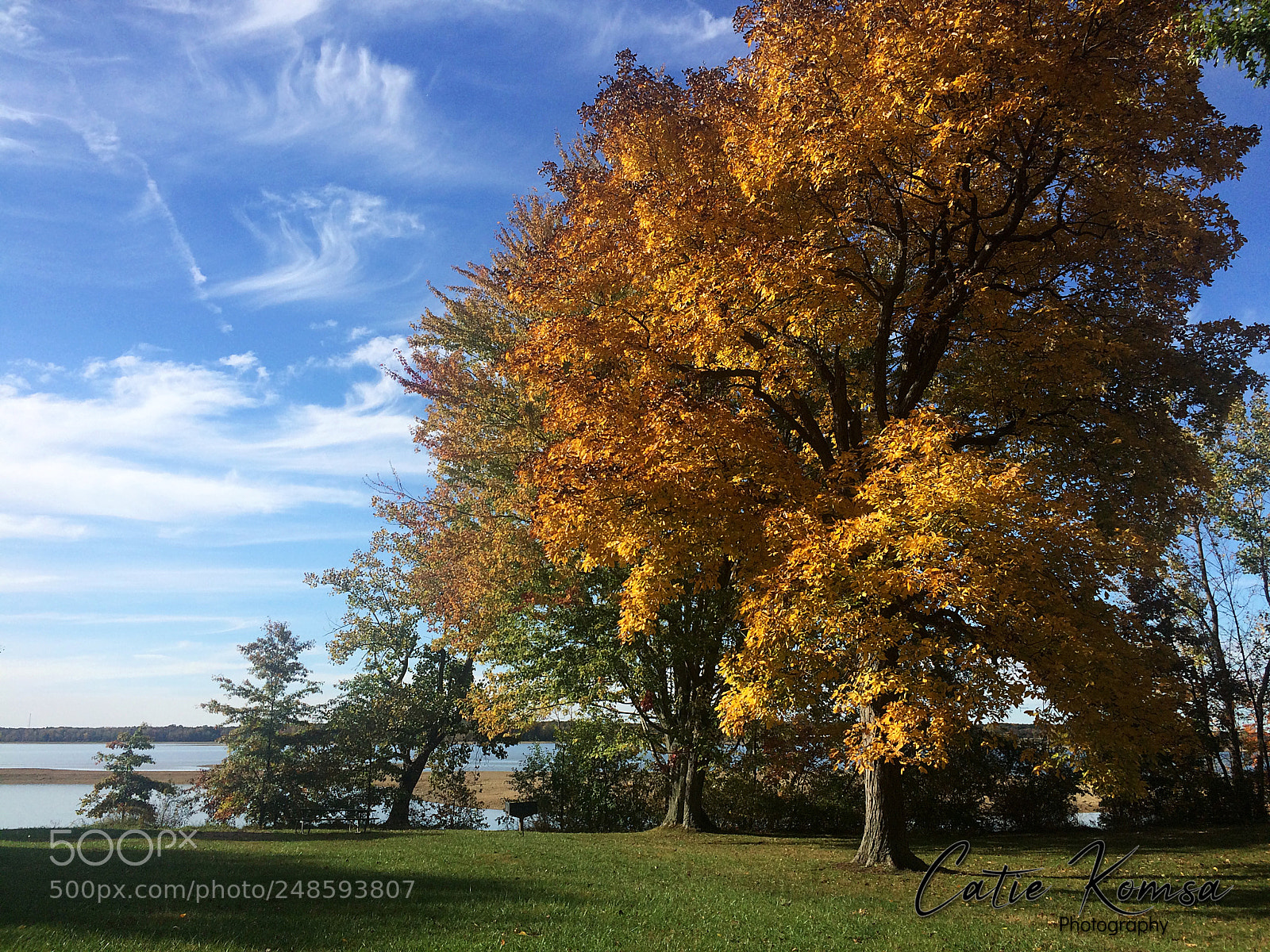 Apple iPhone 5s sample photo. Lake berlin trees photography