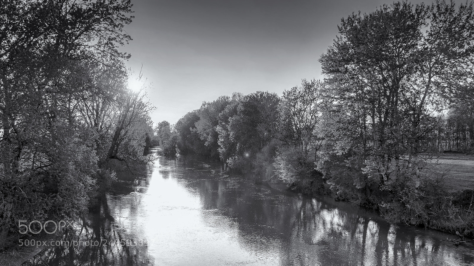 Nikon D3200 sample photo. Spirits of life photography