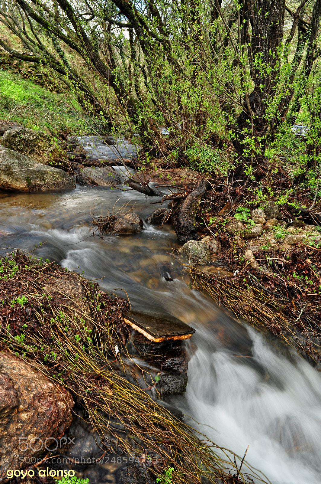 Nikon D5000 sample photo. Arroyo photography