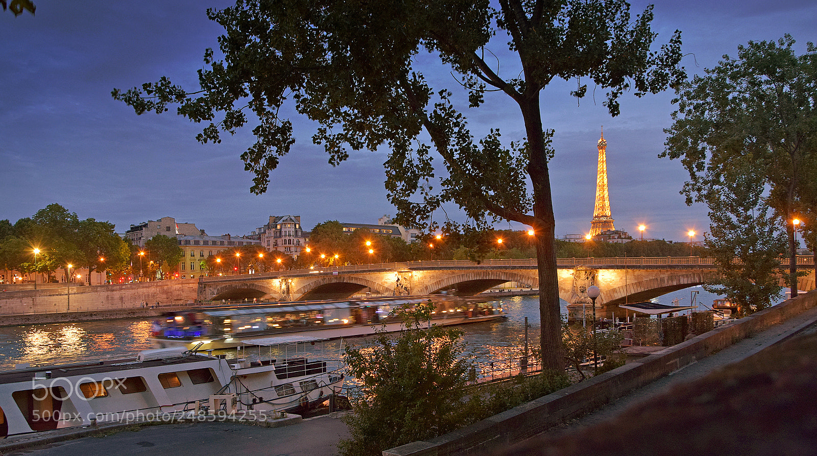 Nikon D5300 sample photo. Seine, paris photography