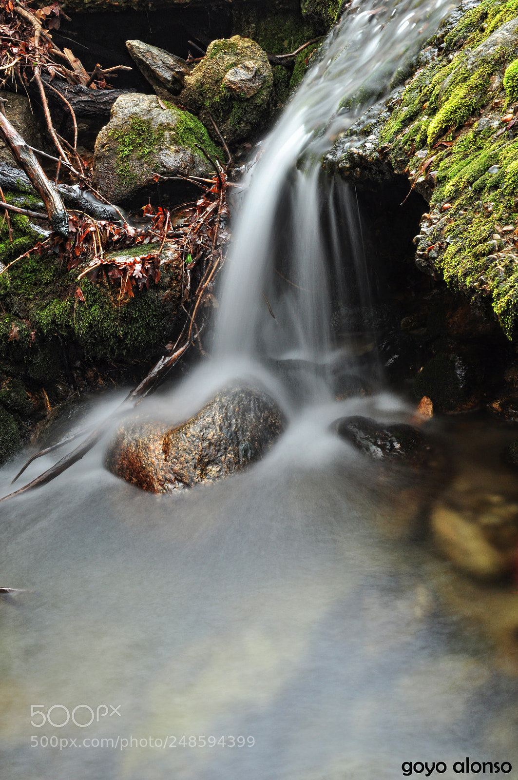Nikon D5000 sample photo. Agua viva photography