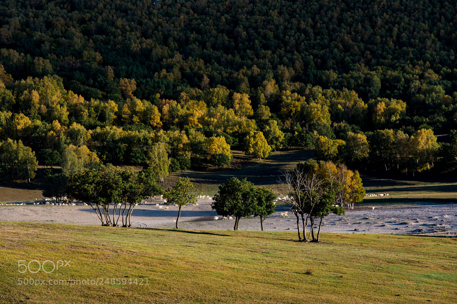 Nikon D7200 sample photo. Dsc photography