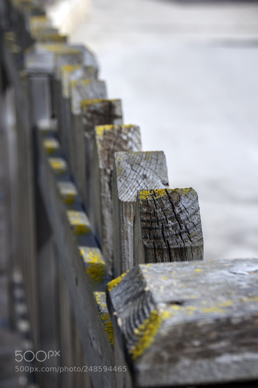 Canon EOS 80D sample photo. Wooden fence stakes are photography