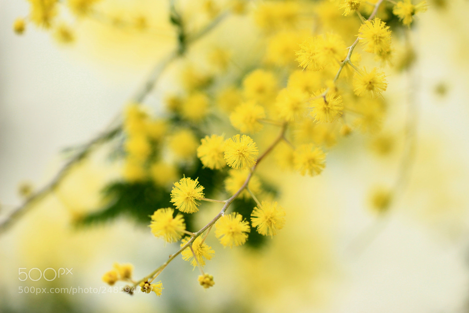 Canon EOS 700D (EOS Rebel T5i / EOS Kiss X7i) sample photo. Fond memories... photography