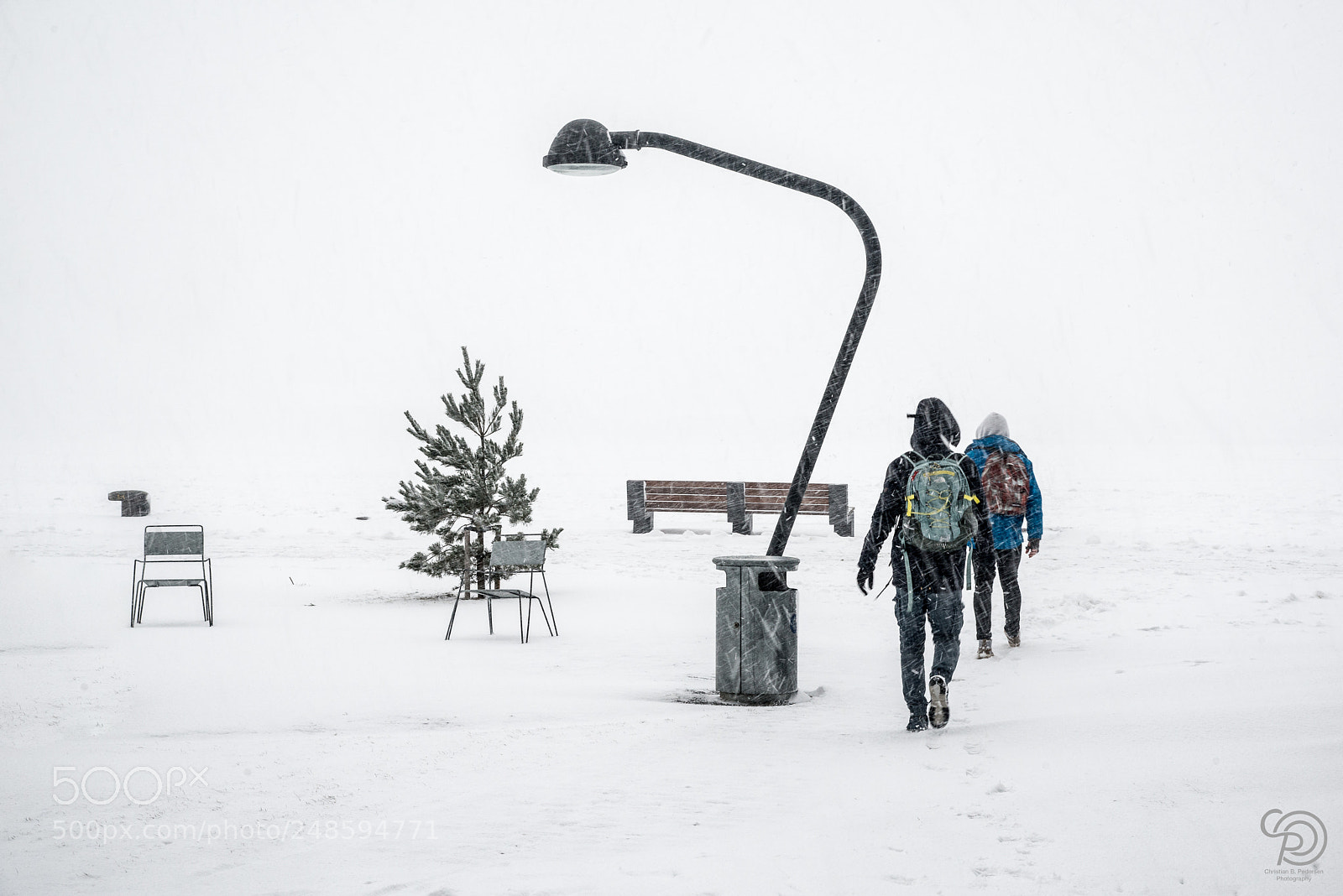 Nikon D800E sample photo. Snow photography