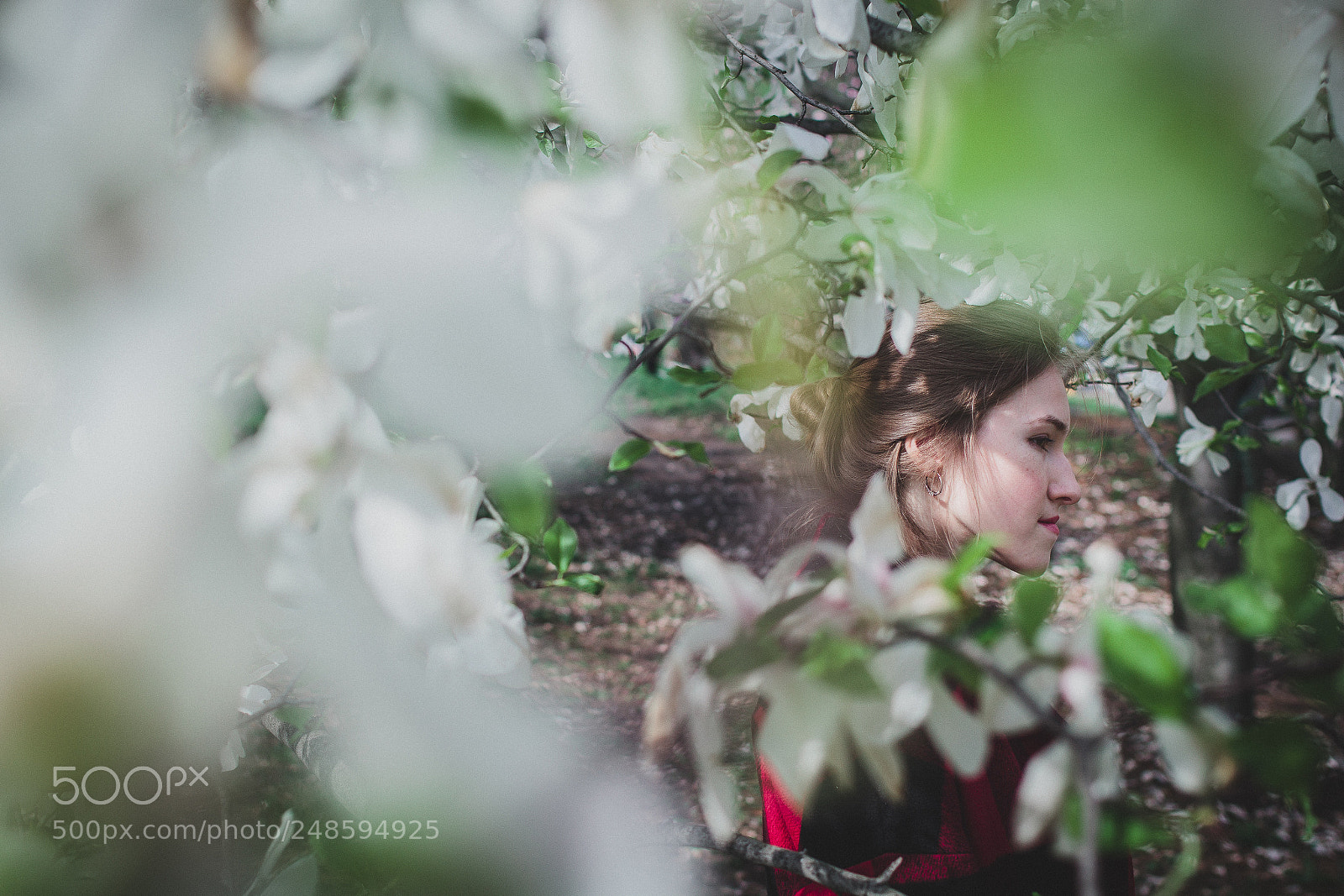 Canon EOS 60D sample photo. Spring photography