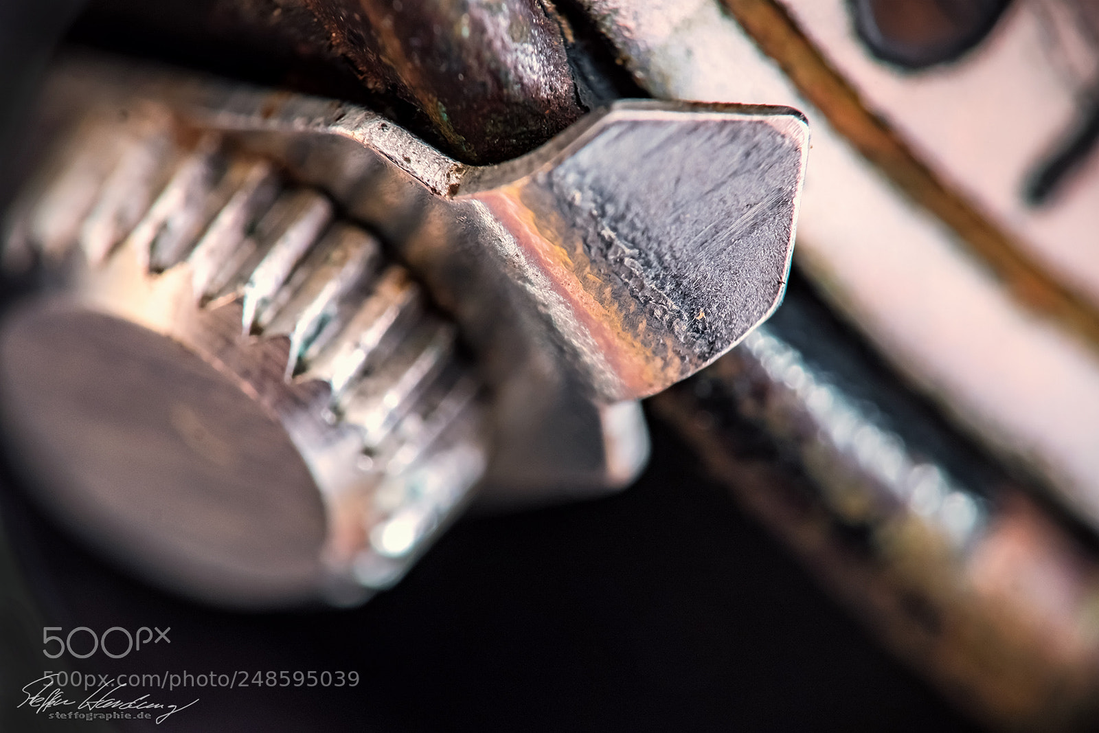 Fujifilm X-T2 sample photo. Detail in harmony photography