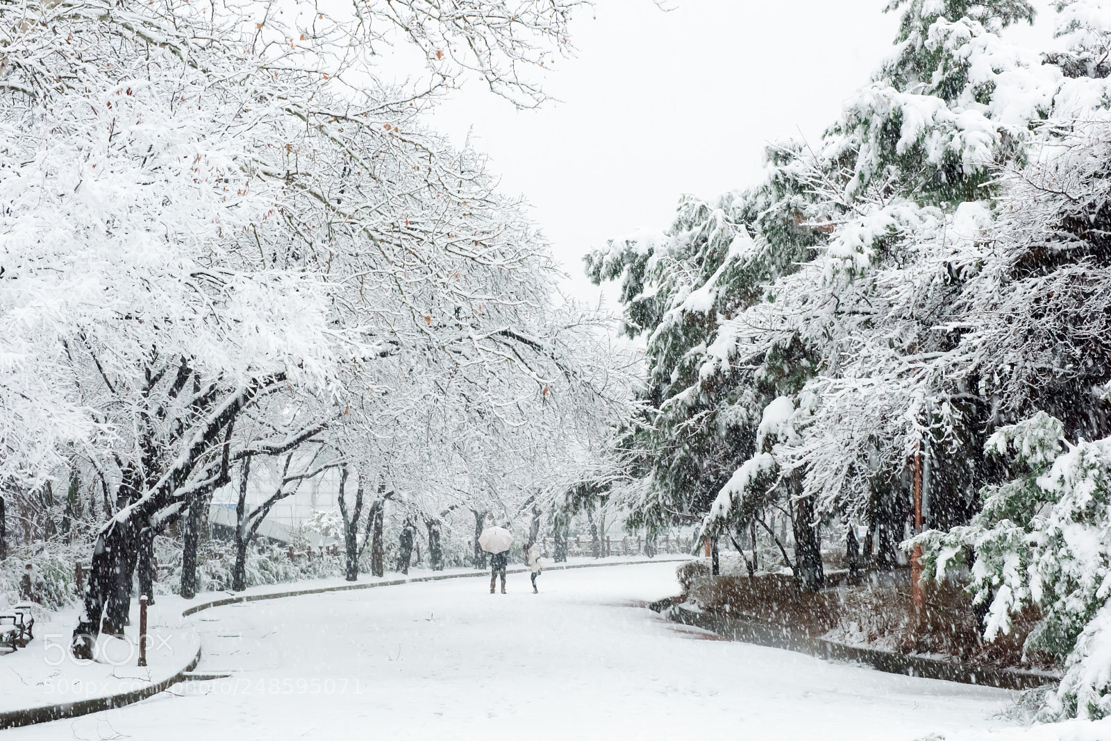 Nikon D810 sample photo. Snow landscape of daefrica photography
