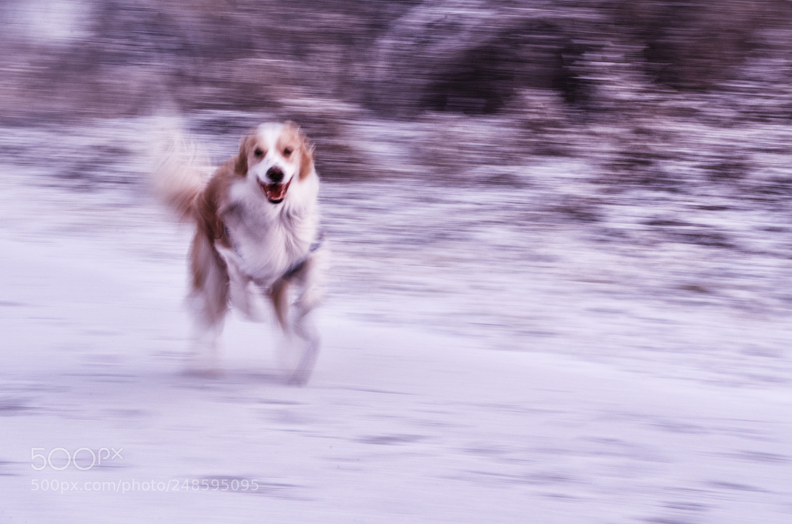 Nikon D5100 sample photo. Run photography