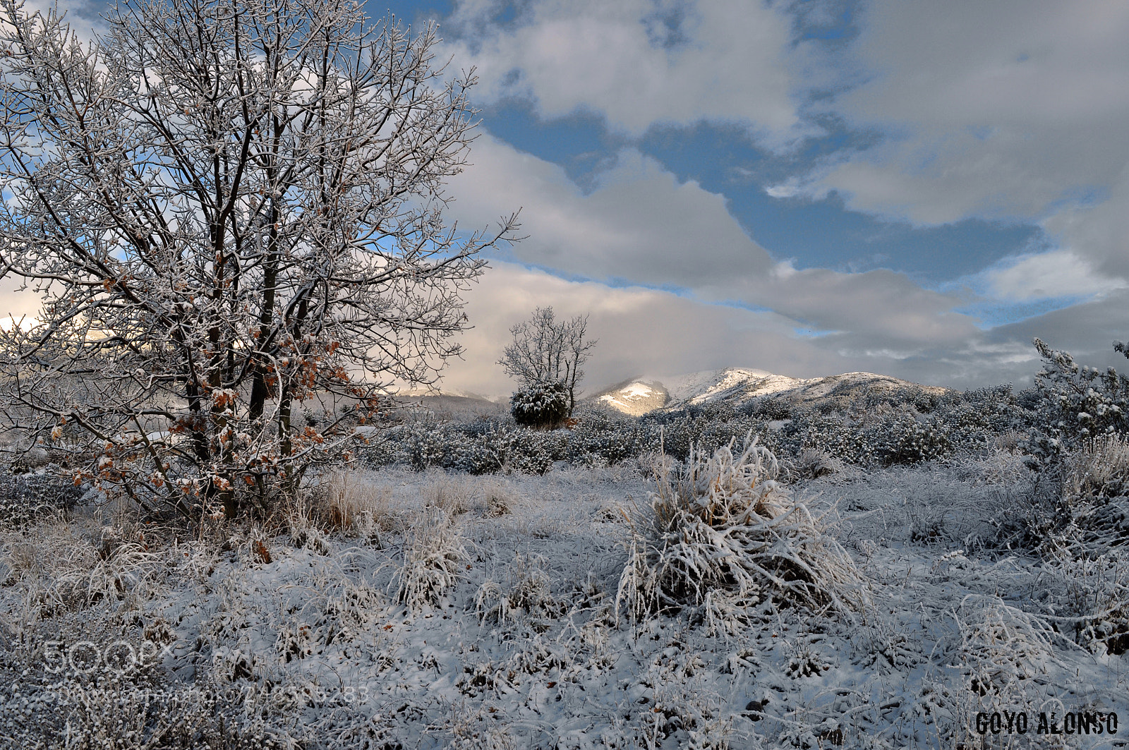 Nikon D5000 sample photo. Nieve photography