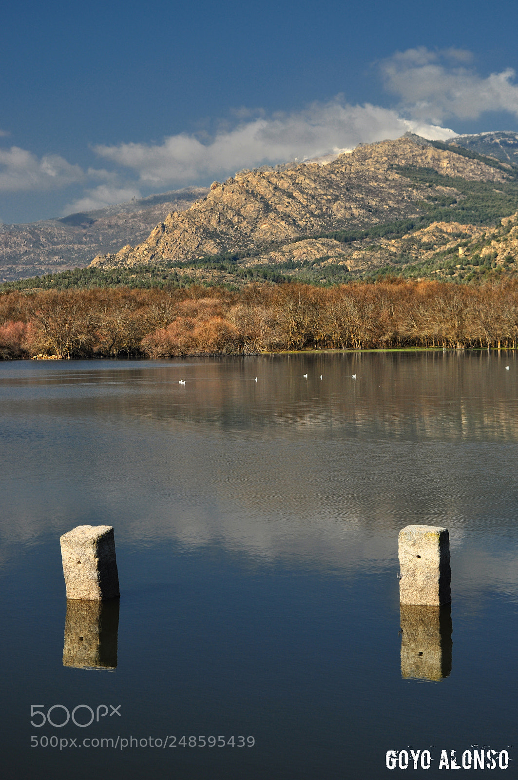 Nikon D5000 sample photo. El lago photography