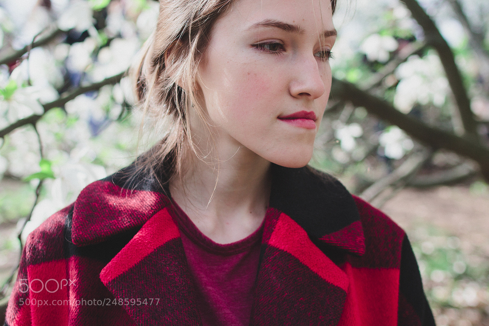 Canon EOS 60D sample photo. Spring photography