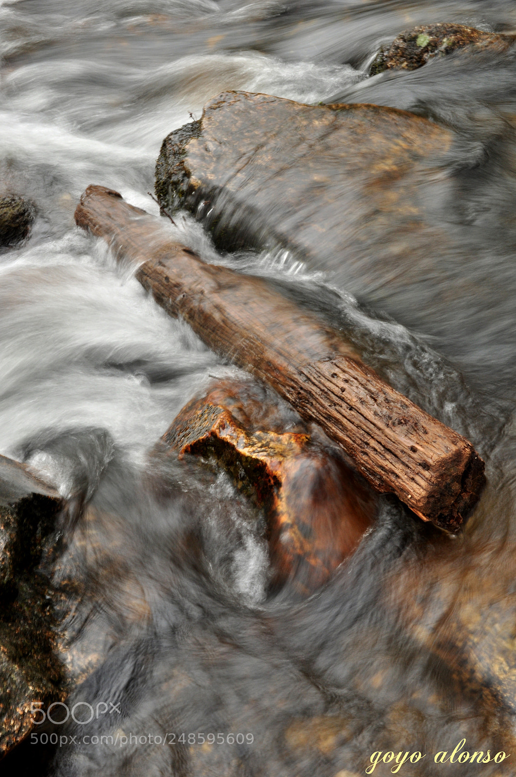 Nikon D5000 sample photo. Agua viva photography