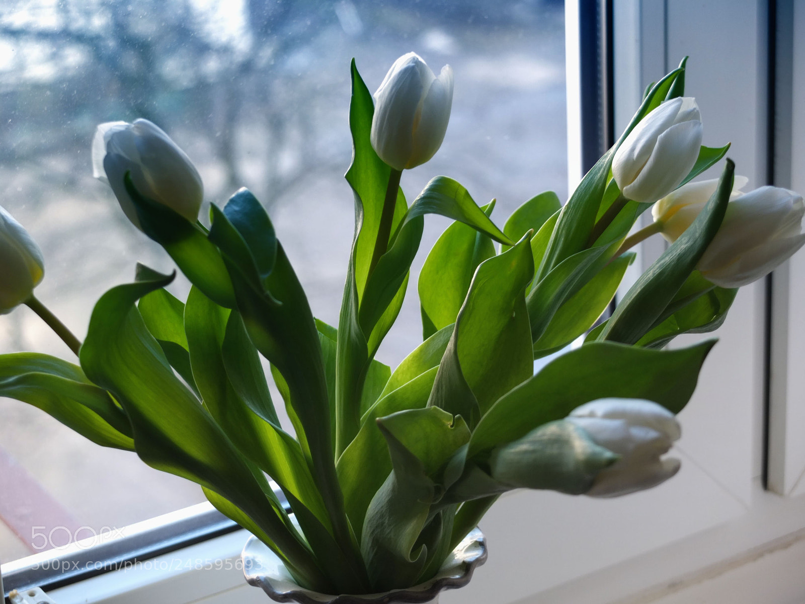 Fujifilm X10 sample photo. Special day, for our photography