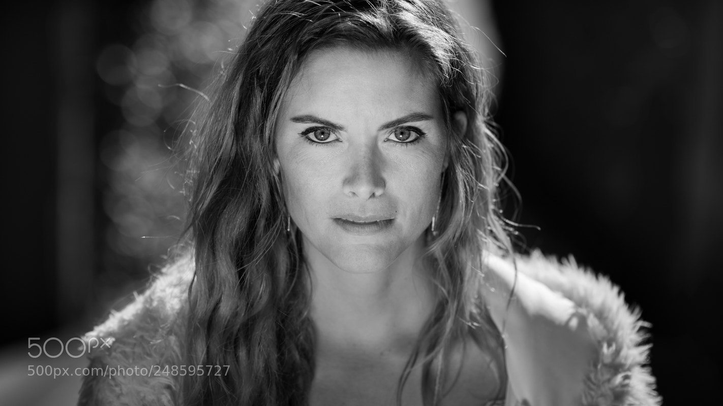 Nikon D610 sample photo. Charlotte photography
