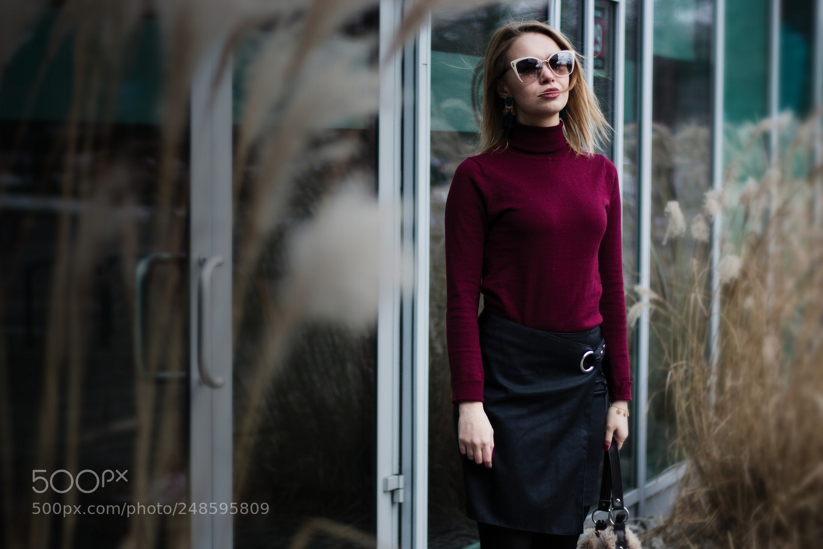 Canon EOS 70D + Canon EF 50mm F1.8 STM sample photo. Rose photography