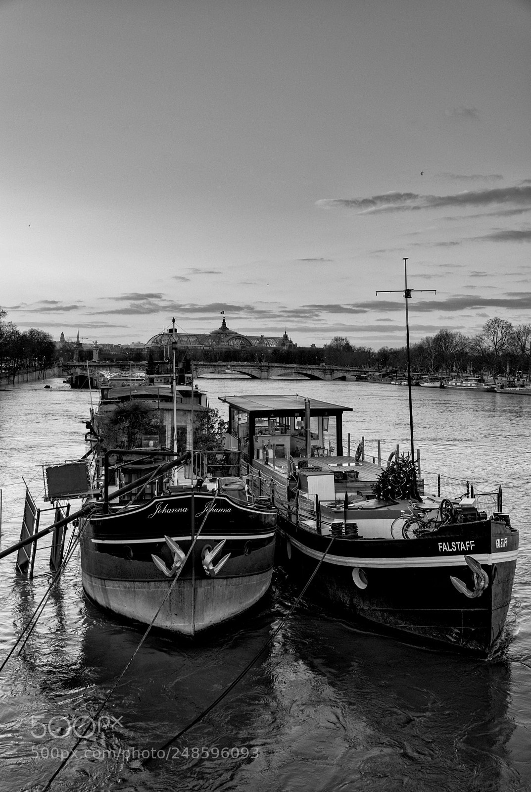 Nikon D5300 sample photo. La seine à paris photography