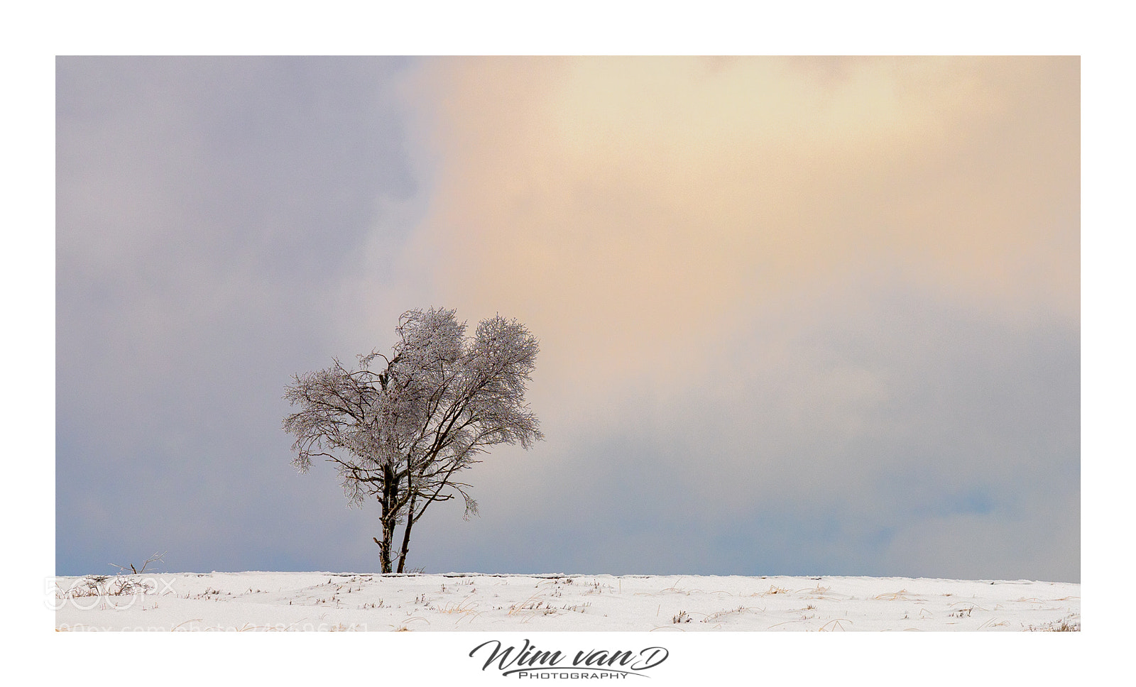 Canon EOS 6D Mark II sample photo. Lonely tree photography