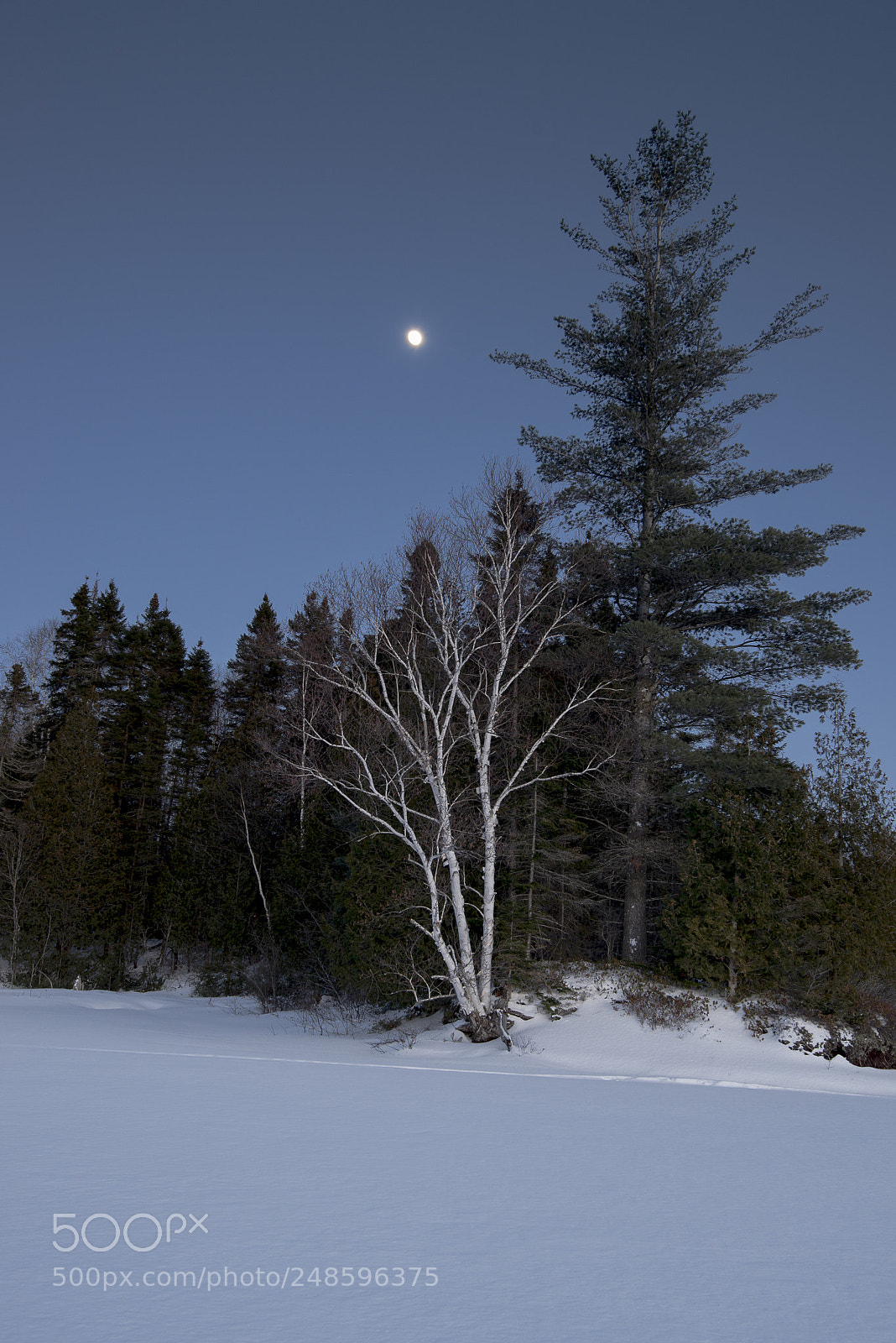 Nikon D610 sample photo. Canada photography