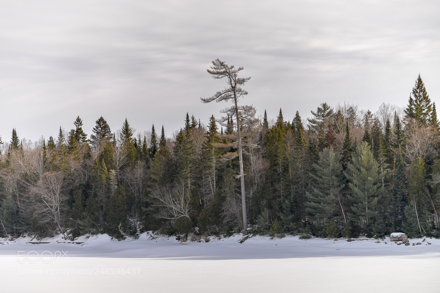 Nikon D610 sample photo. Canada photography