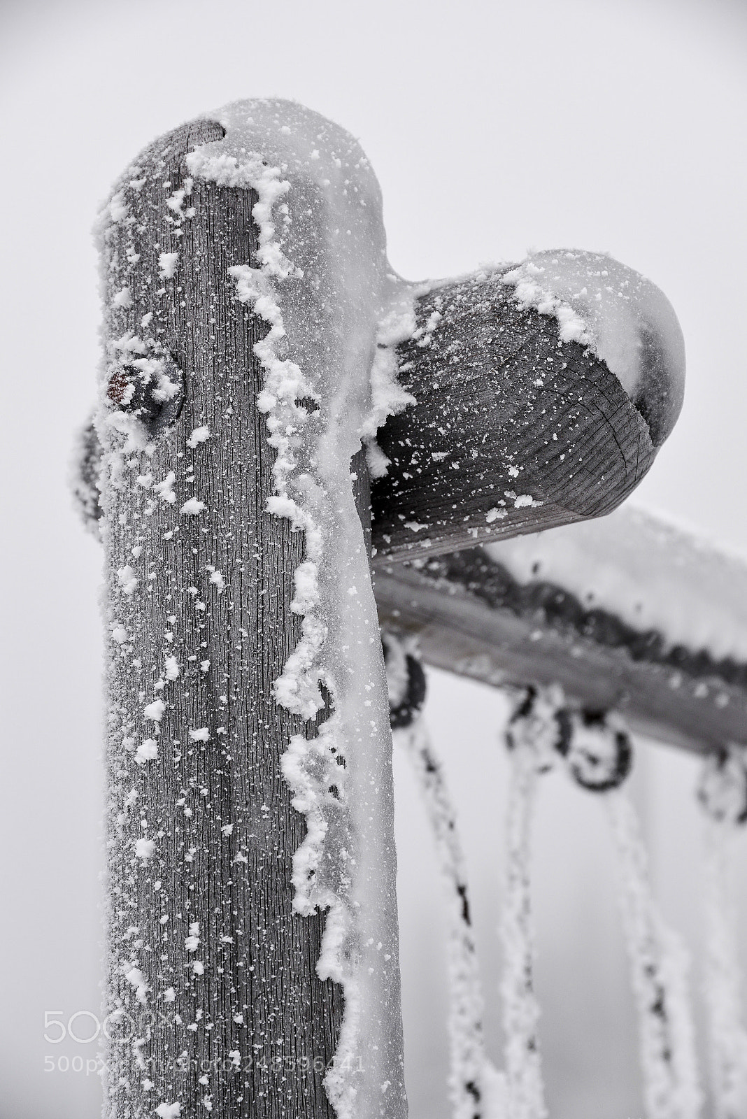 Nikon D610 sample photo. Canada photography