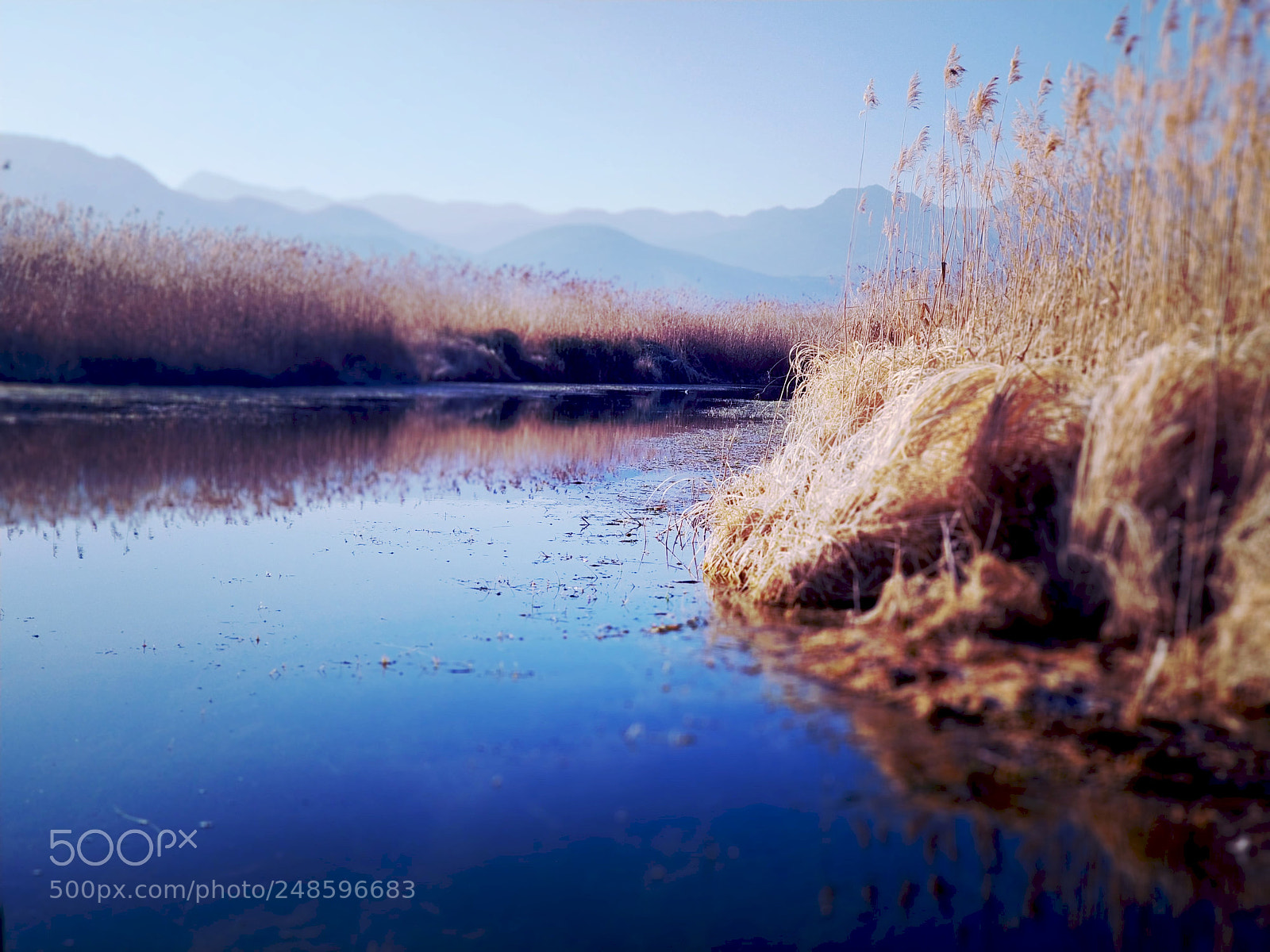 Xiaomi MI6 sample photo. 草海 photography