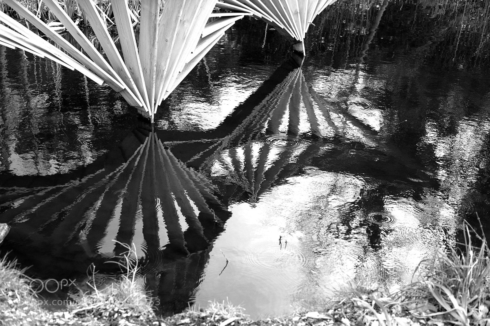 Fujifilm X-Pro2 sample photo. Reflection. photography