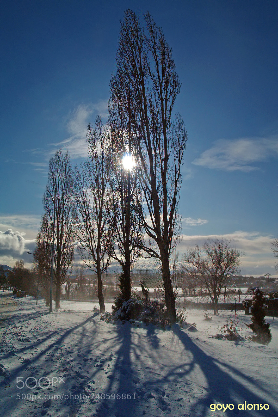 Olympus E-500 (EVOLT E-500) sample photo. Invernal photography
