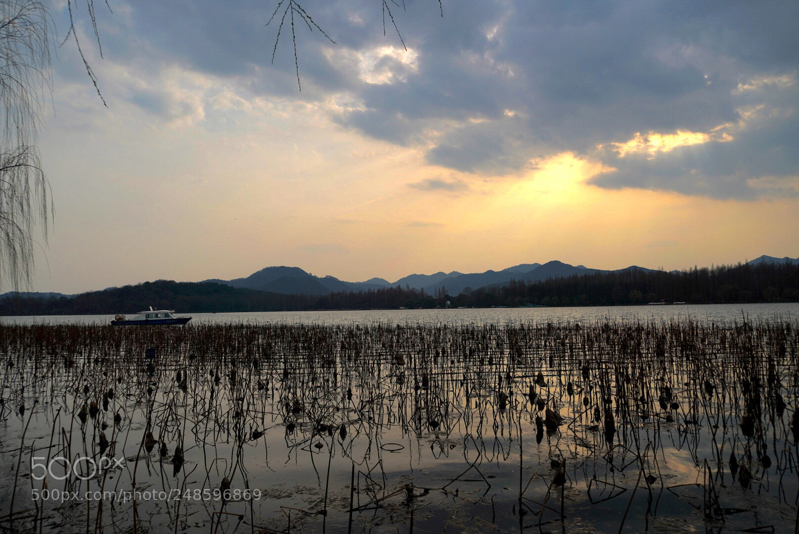 Sony a7R III sample photo. 西湖 photography