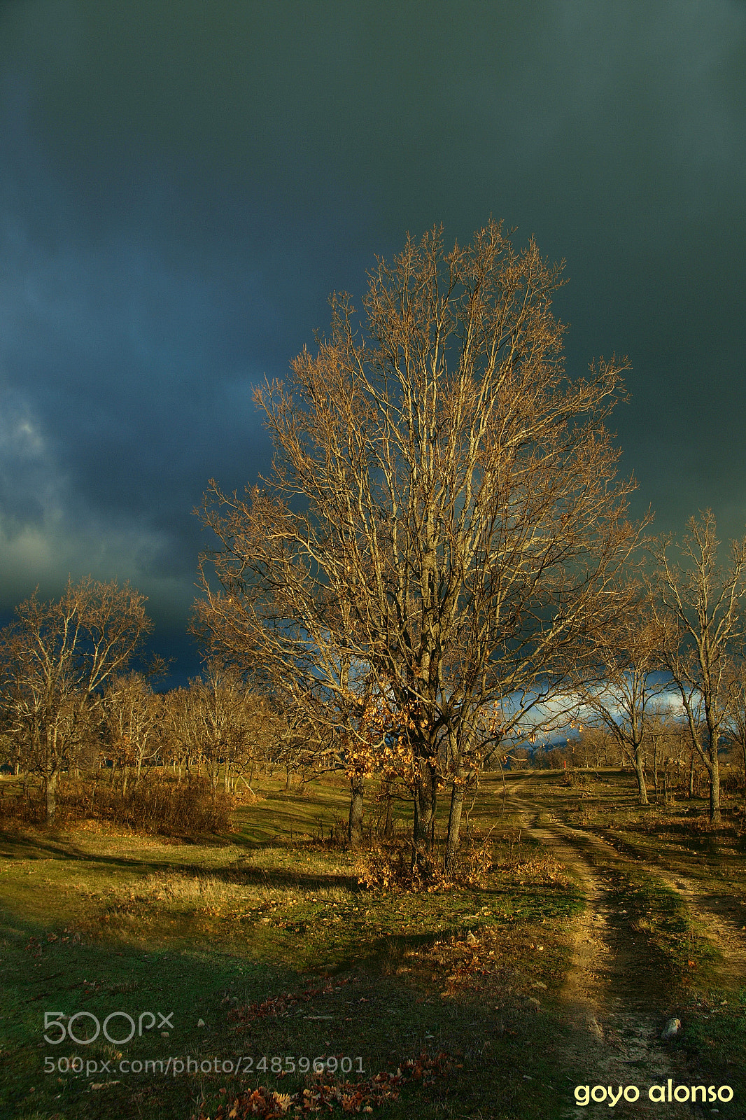 Olympus E-3 sample photo. Storm photography