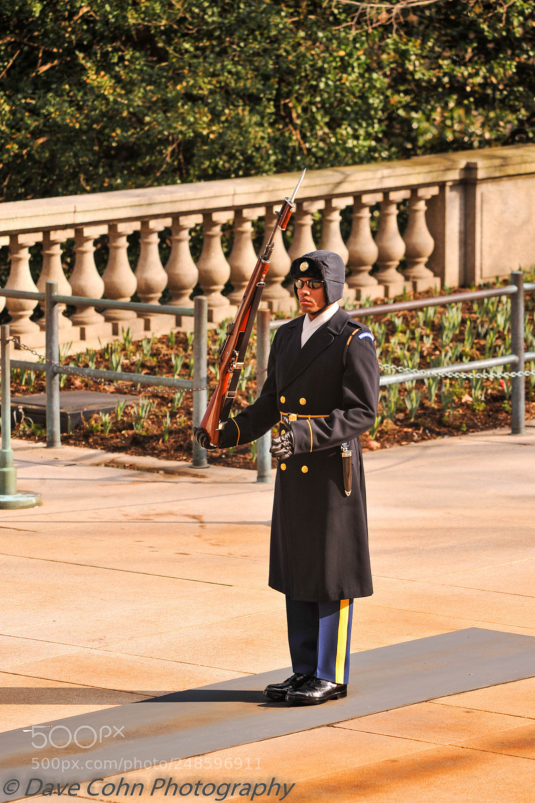 Nikon D700 sample photo. Anc photography