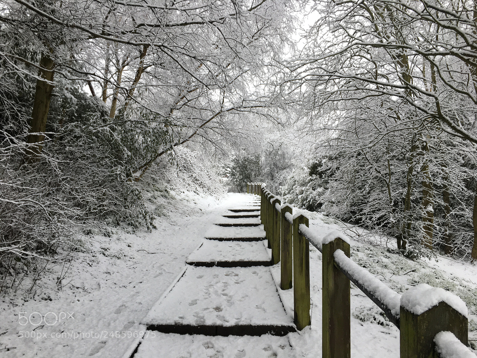Apple iPhone 6s sample photo. Winter’s last gasp photography