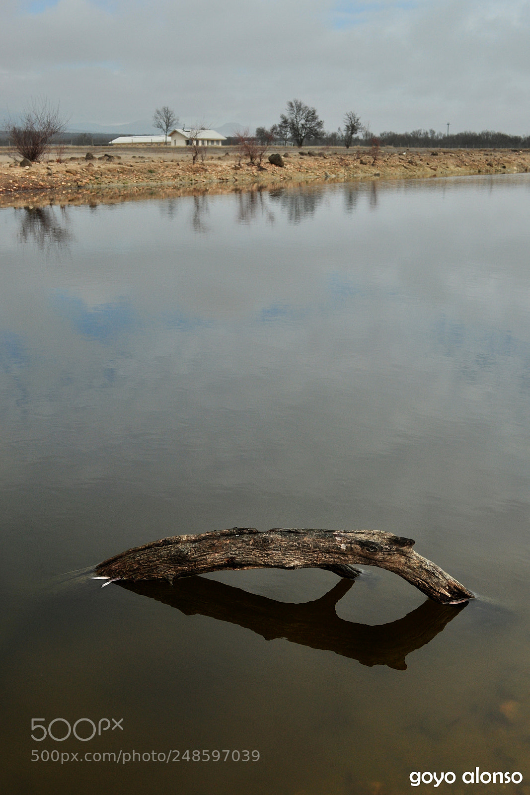 Nikon D5000 sample photo. La charca photography