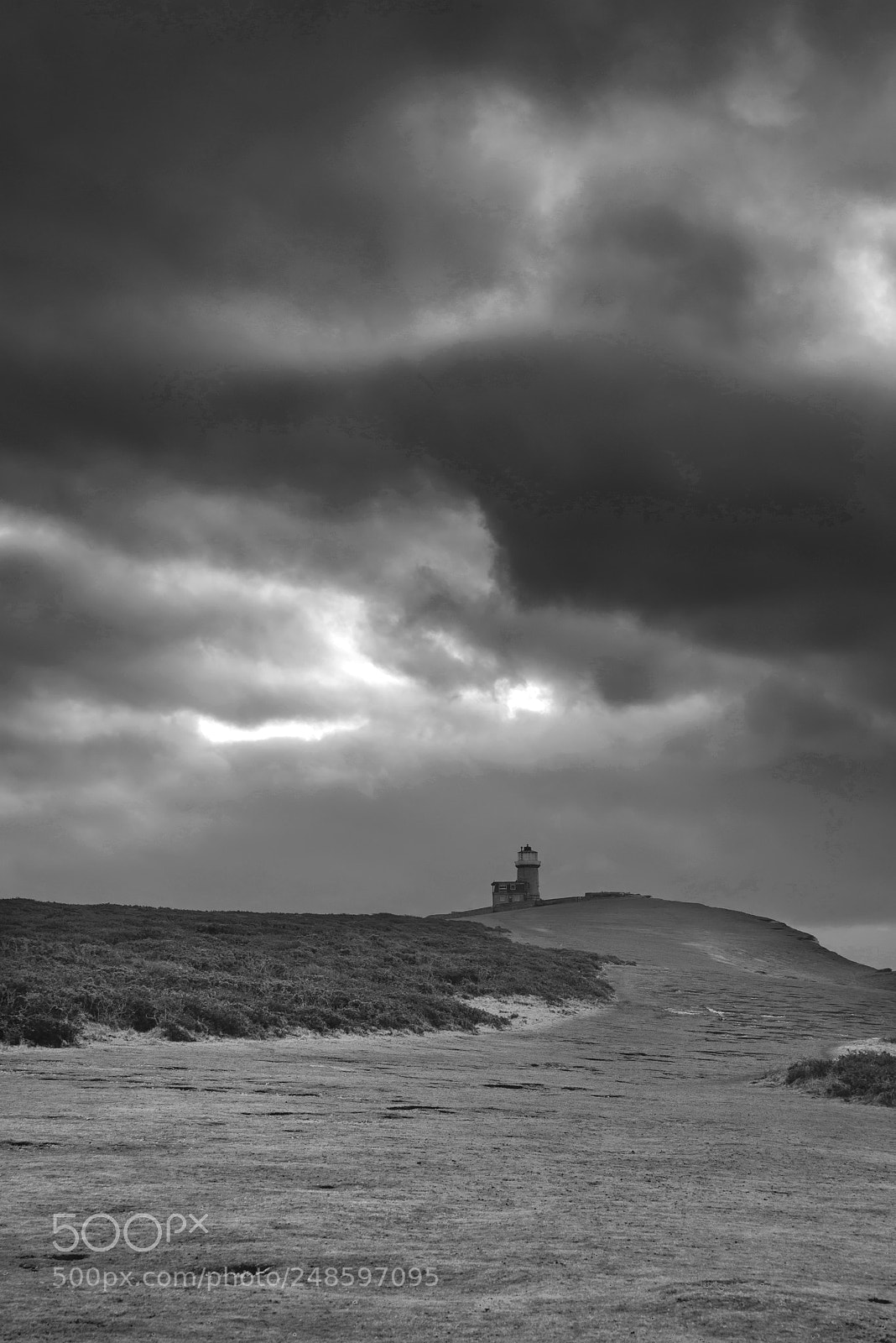Nikon D800 sample photo. Stunning black and white photography