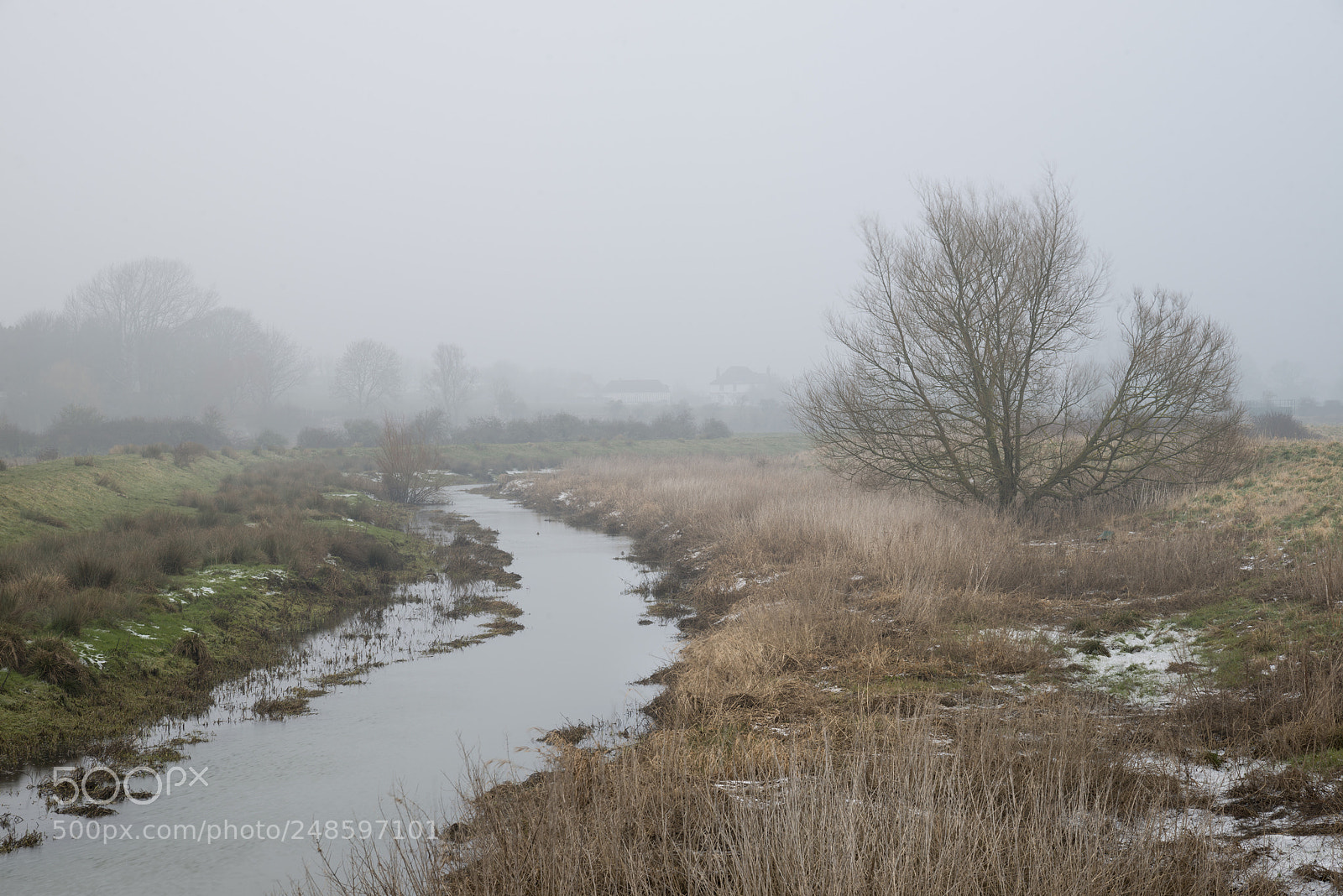 Nikon D800 sample photo. Cold misty winter landscape photography