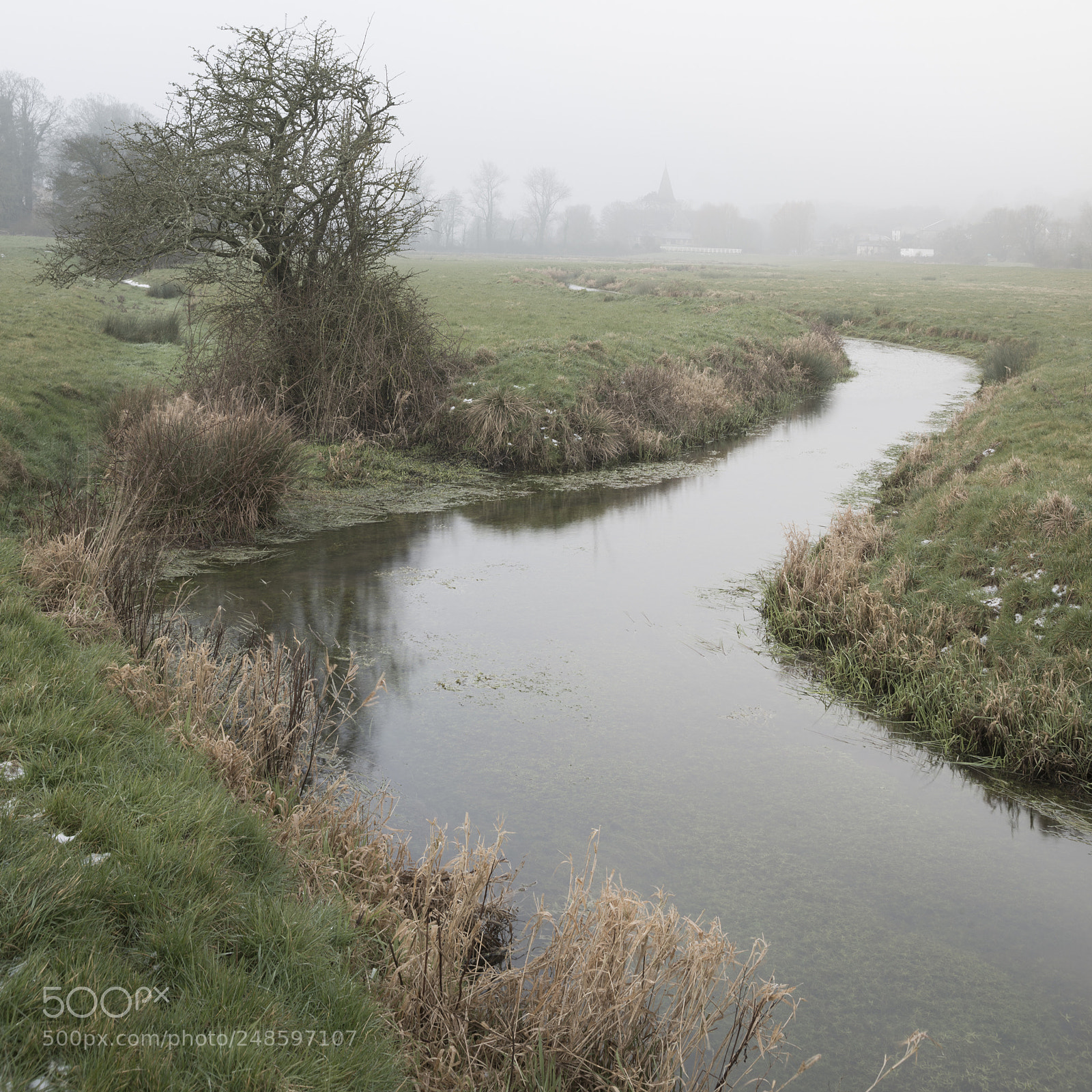 Nikon D800 sample photo. Cold misty winter landscape photography