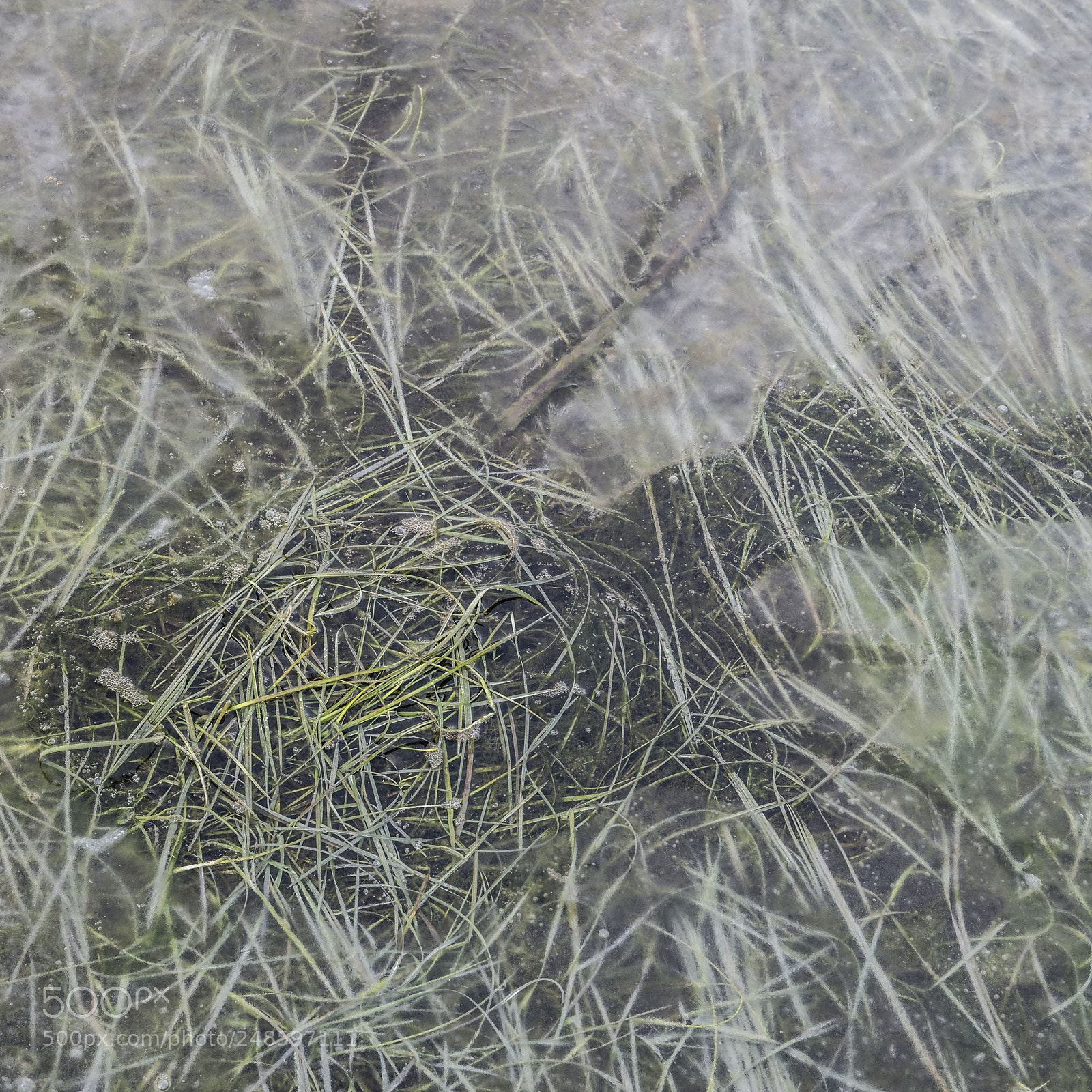 Nikon D800 sample photo. Intimate landscape image of photography