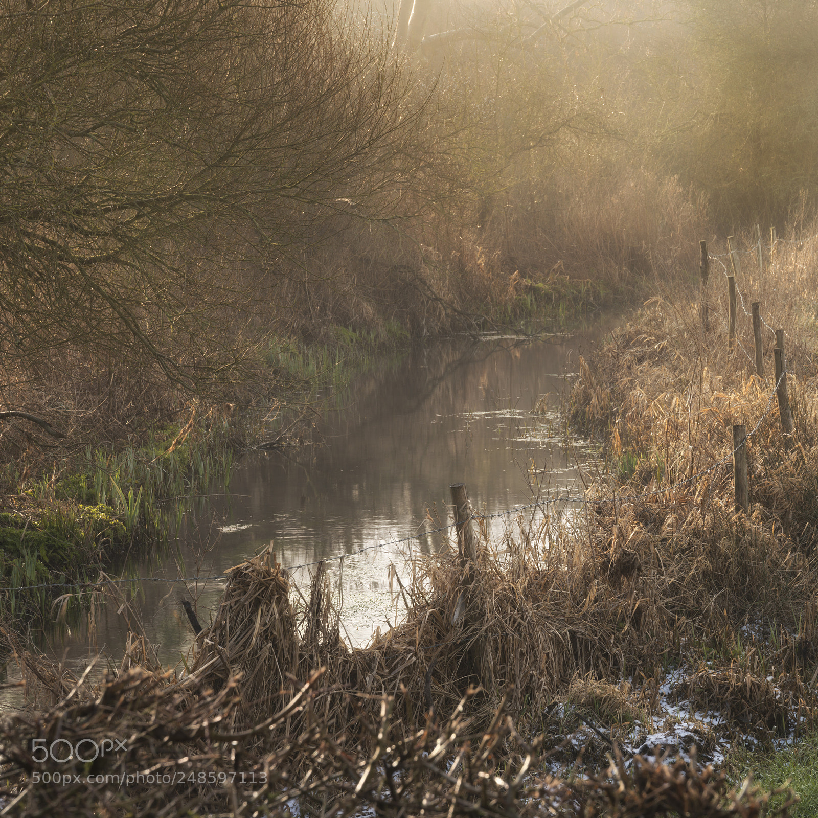 Nikon D800 sample photo. Cold misty winter landscape photography