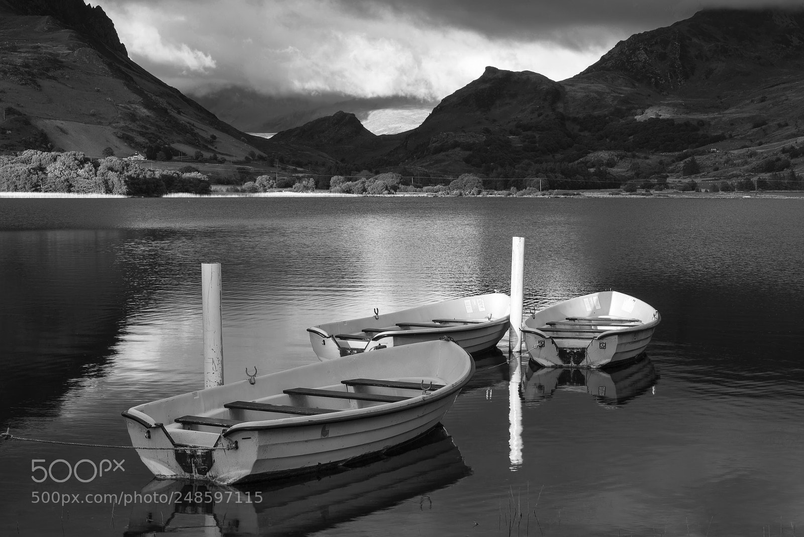 Nikon D800 sample photo. Black and white landscape photography