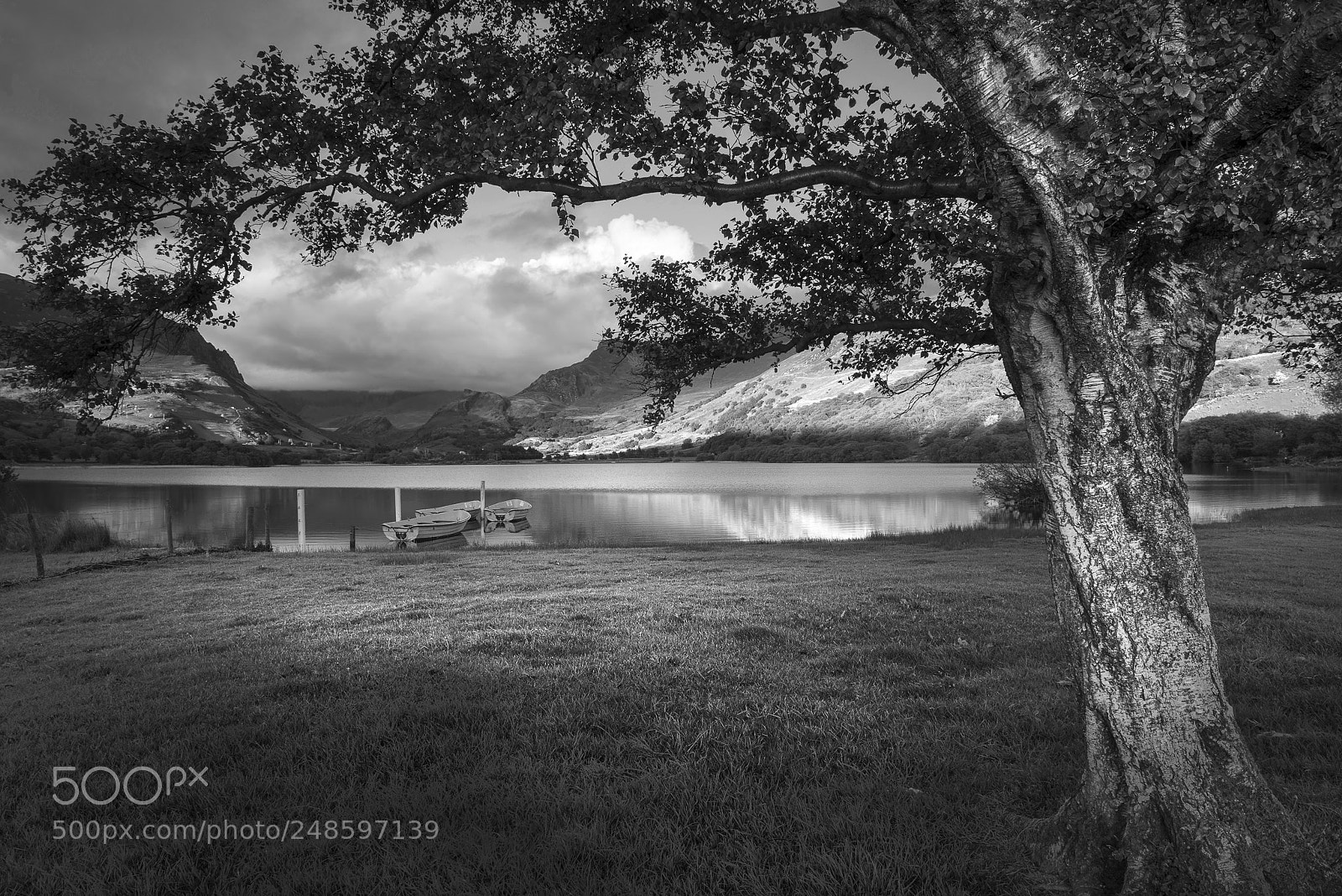 Nikon D800 sample photo. Black and white landscape photography