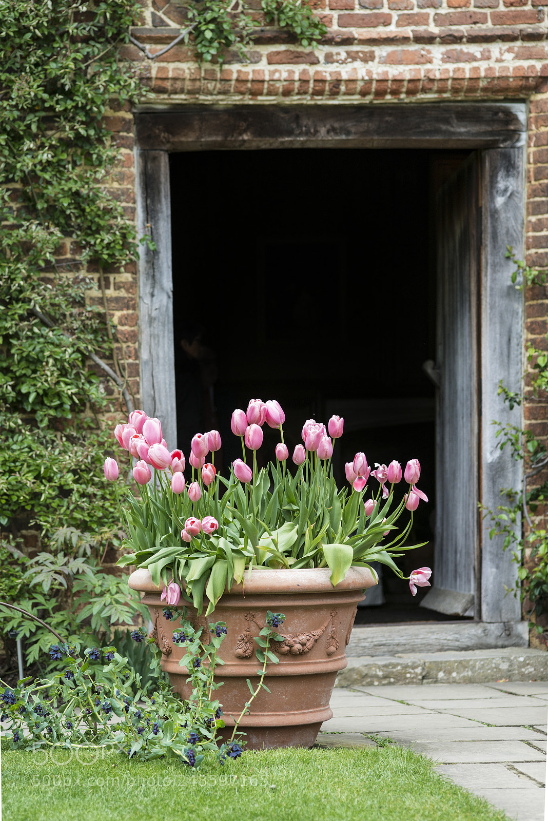 Nikon D800 sample photo. Quintessential vibrant english country photography