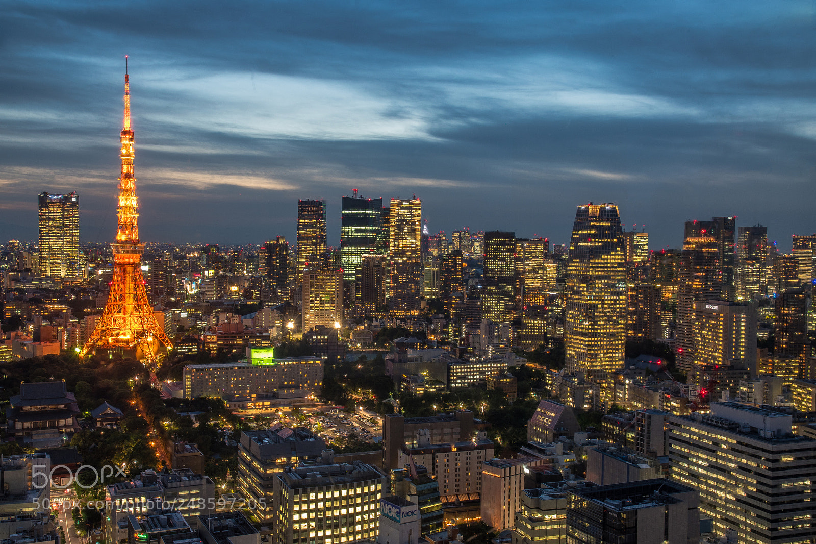 Nikon D5500 sample photo. Tokyo tower photography