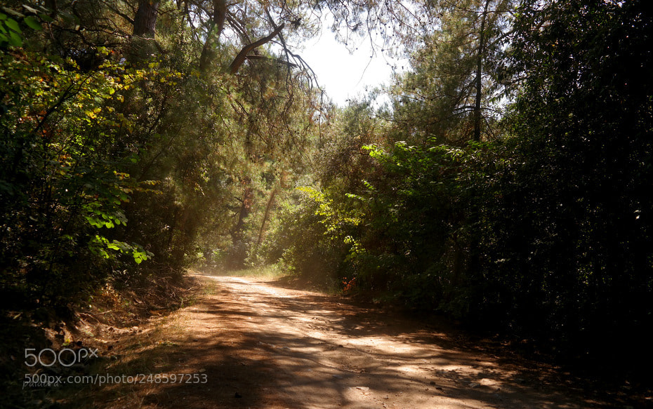 Samsung NX30 sample photo. ... photography
