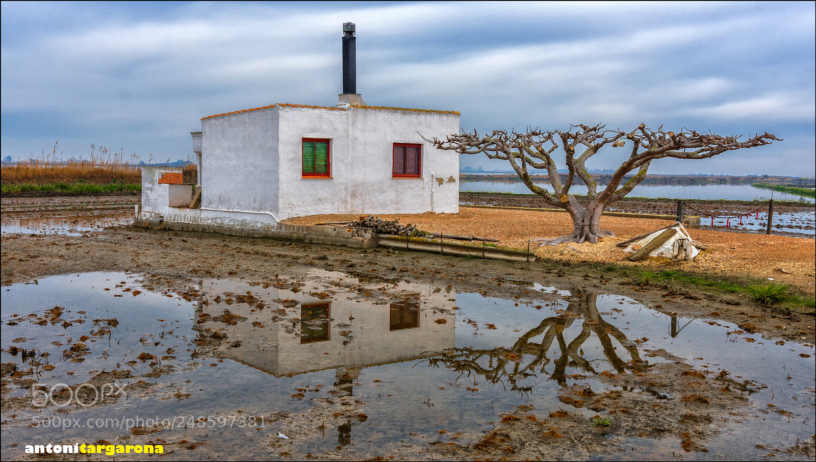 Nikon D7200 sample photo. Delta de l'ebre photography